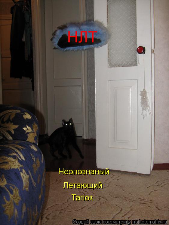 Котоматрица: НЛТ Неопознаный Летающий Тапок