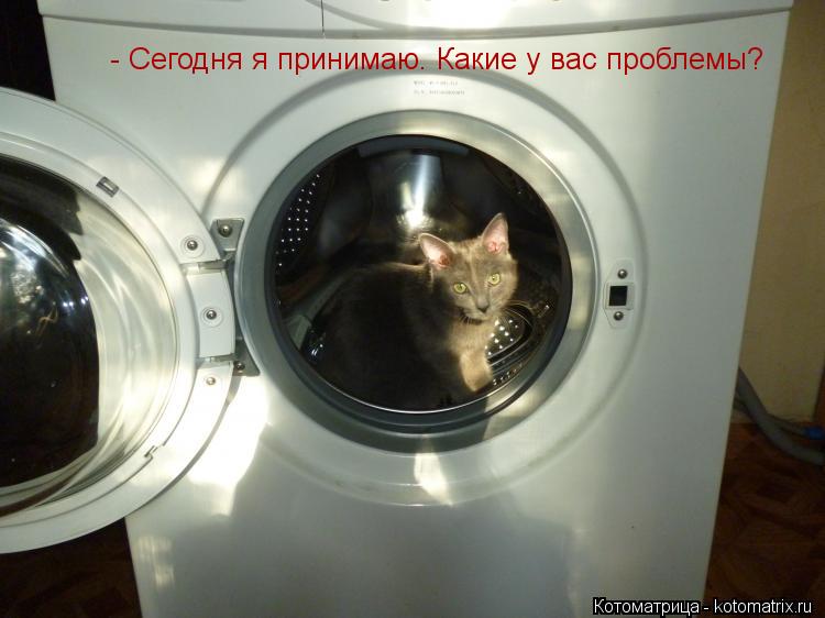 Котоматрица: - Сегодня я принимаю. Какие у вас проблемы?