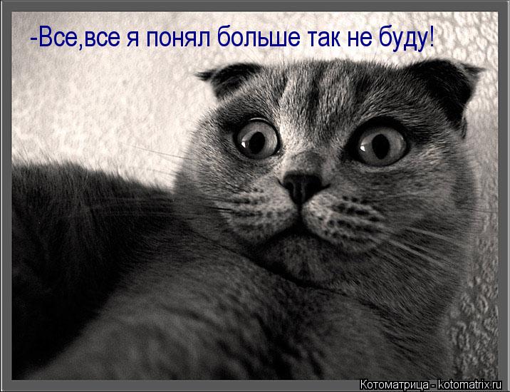 Котоматрица: -Все,все я понял больше так не буду!