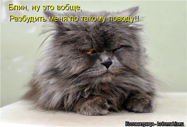 Котоматрица: Блин, ну это вобще,  озбудить меня по такому поводу!! Разбудить меня по такому поводу!!