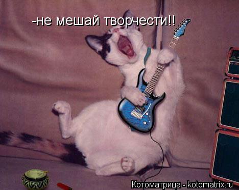 Котоматрица: -не мешай творчести!! -не мешай творчести!!