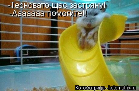 Котоматрица: -Тесновато,щас застряну! -Ааааааа помогите!!