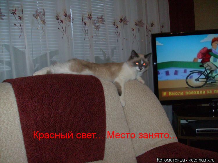 Котоматрица: Красный свет... Место занято...