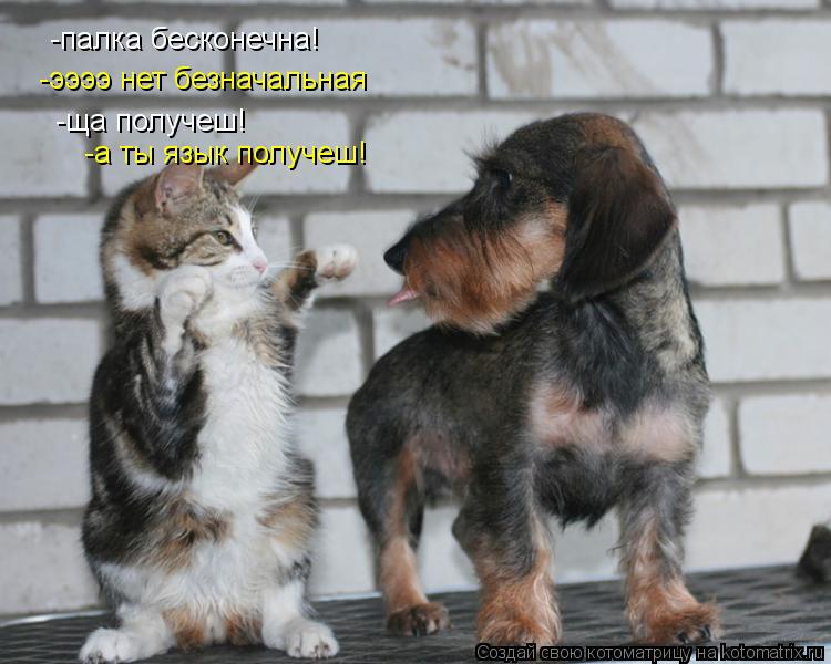 Котоматрица: -палка бесконечна! -ээээ нет безначальная -ща получеш! -а ты язык получеш!
