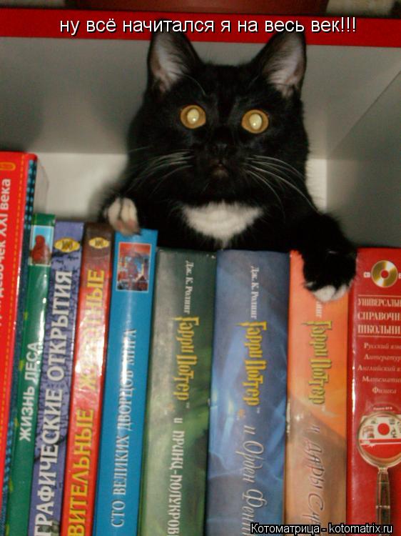 Котоматрица: ну всё начитался я на весь век!!!