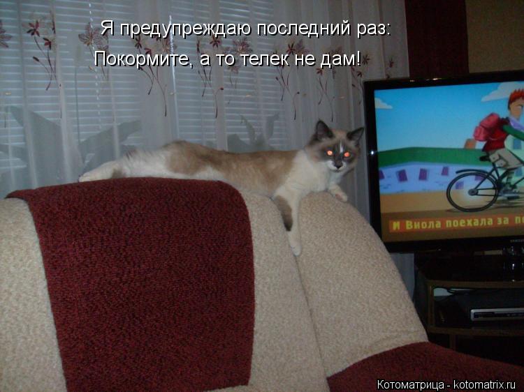 Котоматрица: Я предупреждаю последний раз: Покормите, а то телек не дам!