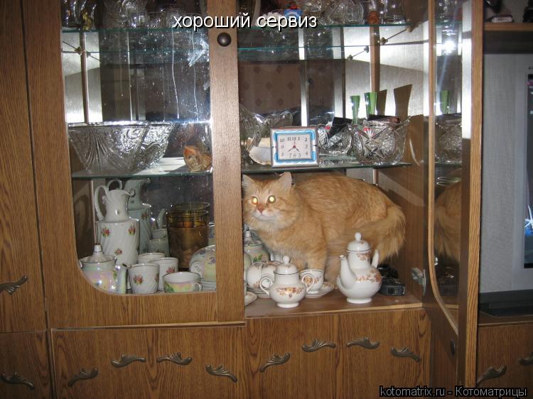 Котоматрица: хороший сервиз
