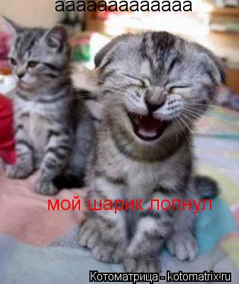 Котоматрица: ааааааааааааа  мой шарик лопнул