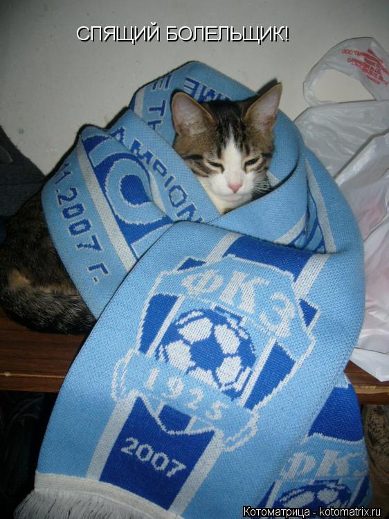 Котоматрица: СПЯЩИЙ БОЛЕЛЬЩИК!