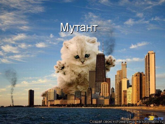 Котоматрица: Мутант