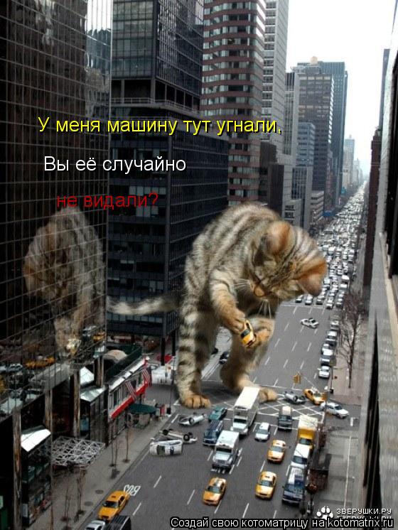 Котоматрица: У меня машину тут угнали , Вы её случайно не видали?