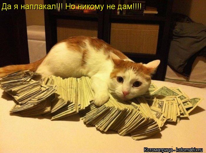 Котоматрица: Да я наплакал!!! Но никому не дам!!!!