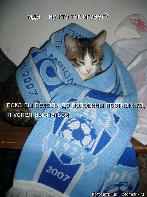 Котоматрица: мда... ну кто так играет?.. пока вы бежали до половины противника, я успел выспаться...