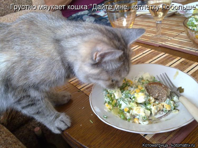 Котоматрица: Грустно мяукает кошка:"Дайте мне, котлетку Побольше" Грустно мяукает кошка:"Дайте мне, котлетку Побольше"