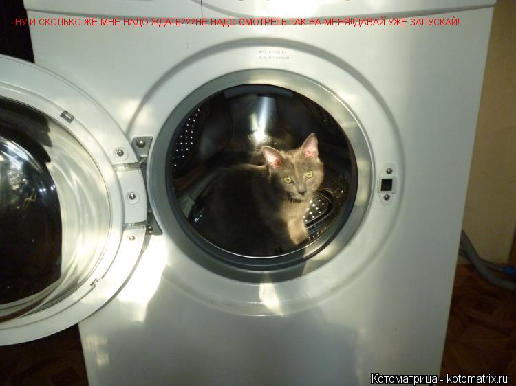 Котоматрица: -НУ И СКОЛЬКО ЖЕ МНЕ НАДО ЖДАТЬ???НЕ НАДО СМОТРЕТЬ ТАК НА МЕНЯ!!ДАВАЙ УЖЕ ЗАПУСКАЙ!