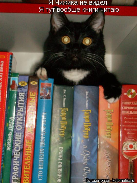 Котоматрица: Я Чижика не видел Я тут вообще книги читаю