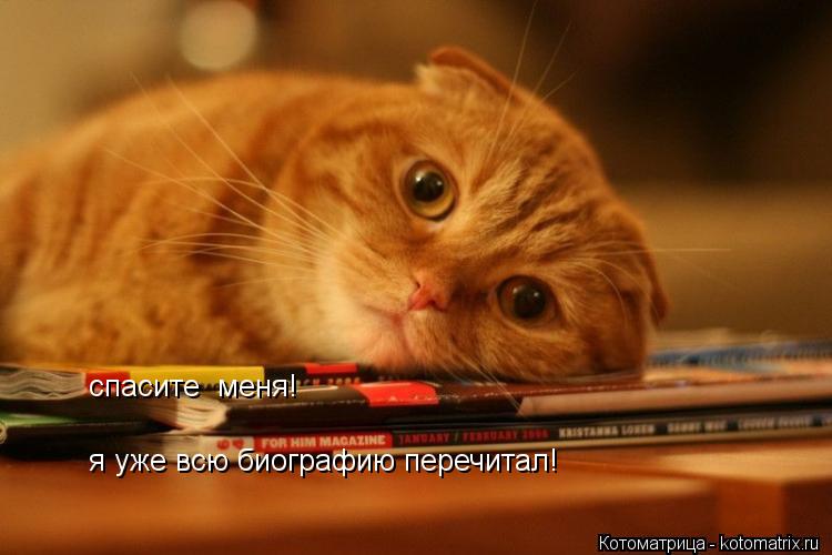 Котоматрица: спасите  меня! я уже всю биографию перечитал!