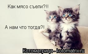 Котоматрица: Как мясо съели?!! А нам что тогда?!