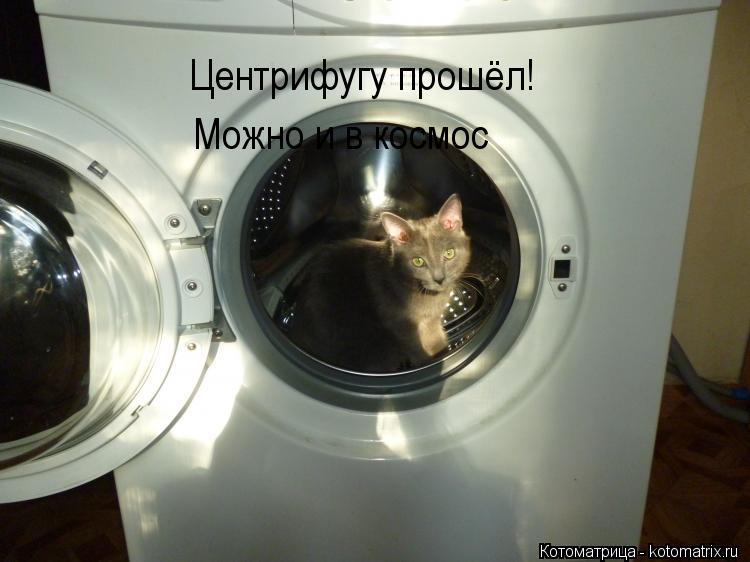 Котоматрица: Центрифугу прошёл! Можно и в космос