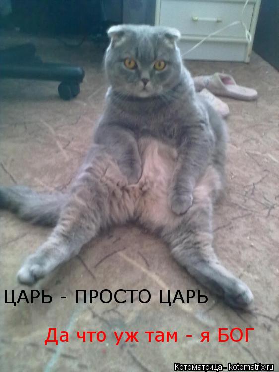 Котоматрица: ЦАРЬ - ПРОСТО ЦАРЬ  Да что уж там - я БОГ