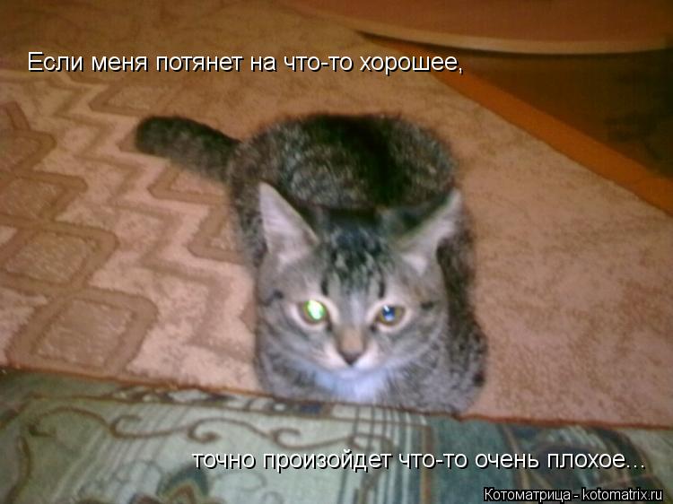 Котоматрица: Если меня потянет на что-то хорошее,  точно произойдет что-то очень плохое...