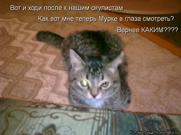 Котоматрица: Вот и ходи после к нашим окулистам Как вот мне теперь Мурке в глаза смотреть? Как вот мне теперь Мурке в глаза смотреть? Вернее КАКИМ???? Верне