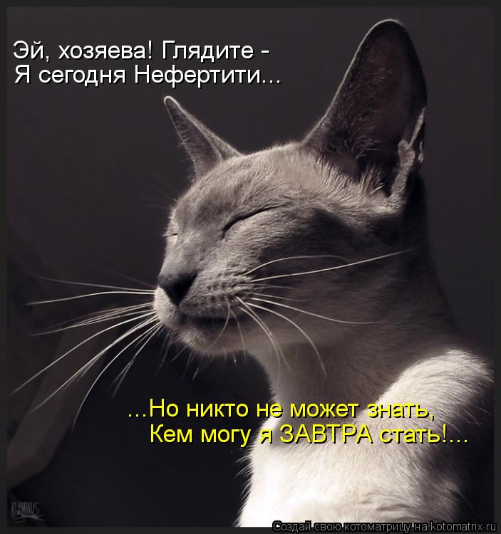 Я сегодня Нефертити... Эй, хозяева! Глядите - Кем могу я ЗАВТРА стать!... ...Но никто не может знать... Котоматрица: Я сегодня Нефертити... Эй, хозяева! Глядите - Кем могу я ЗАВТРА стать!... ...Но никто не может знать,