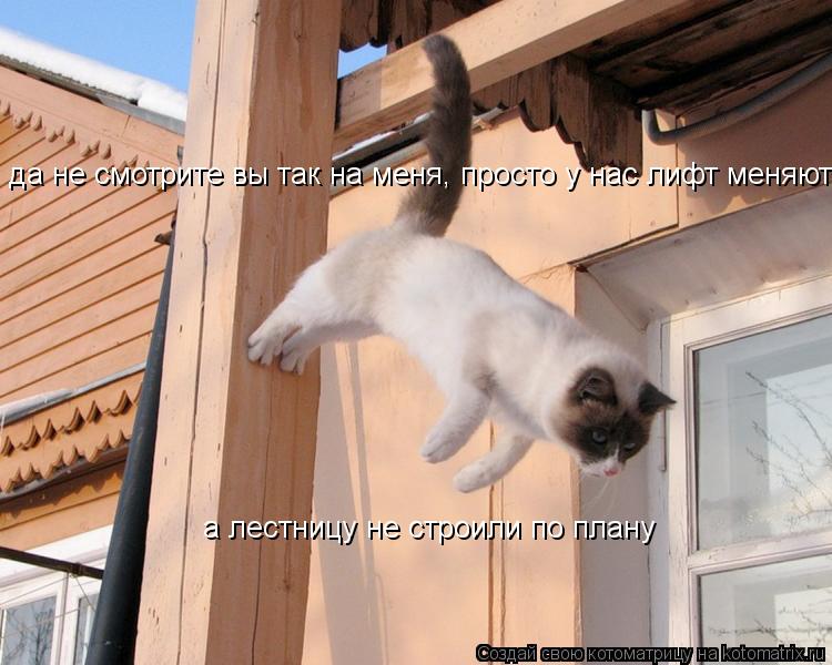 Котоматрица: да не смотрите вы так на меня, просто у нас лифт меняют а лестницу не строили по плану