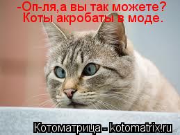 Котоматрица: -Оп-ля,а вы так можете? Коты акробаты в моде.