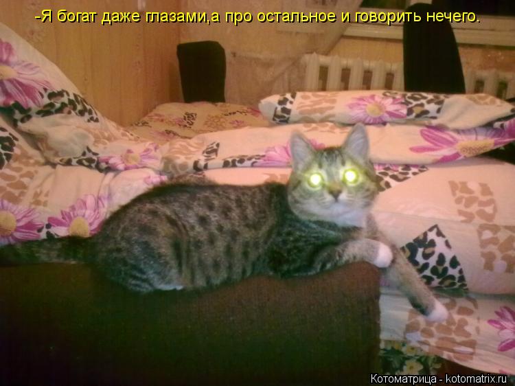 Котоматрица: -Я богат даже глазами,а про остальное и говорить нечего.