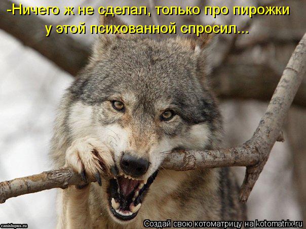 Котоматрица: -Ничего ж не сделал, только про пирожки у этой психованной спросил...