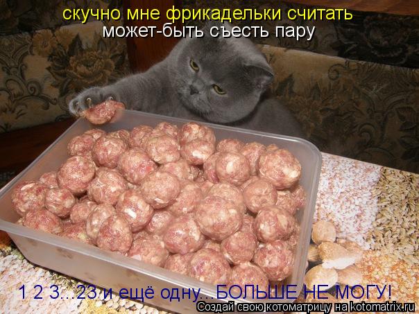 Котоматрица: скучно мне фрикадельки считать  может-быть съесть пару может-быть съесть пару 1 2 3...23 и ещё одну...БОЛЬШЕ НЕ МОГУ!