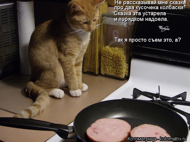 Котоматрица: Не рассказывай мне сказки про два кусочека колбаски. Сказка эта устарела и порядком надоела. Так я просто съем это, а?