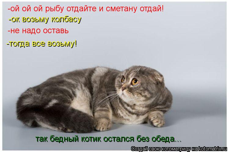 Котоматрица: -ой ой ой рыбу отдайте и сметану отдай! -ок возьму колбасу -не надо оставь -тогда все возьму! так бедный котик остался без обеда...