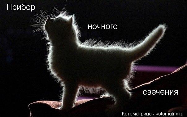 Котоматрица: Прибор ночного свечения