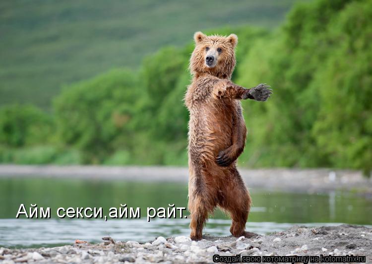 Котоматрица: Айм секси,айм райт.