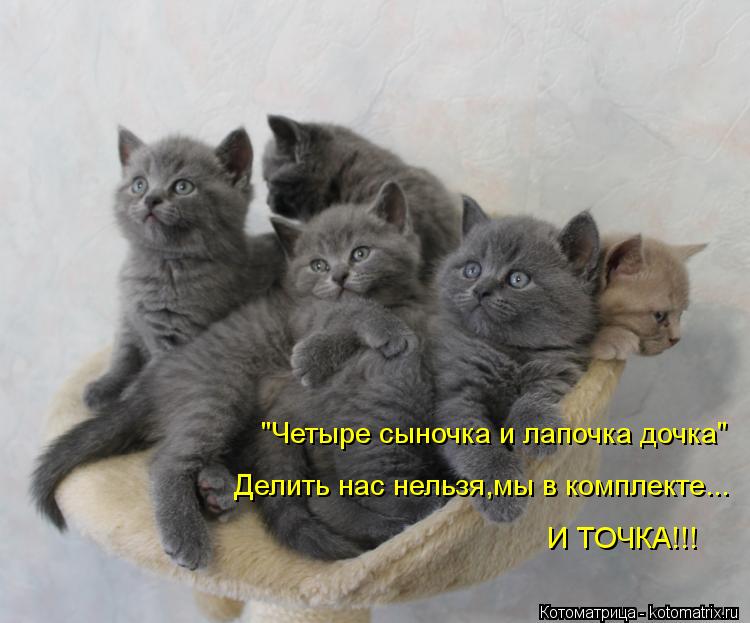"Четыре сыночка и лапочка дочка" Делить нас нельзя,мы в комплекте... И ТОЧКА!!!... Котоматрица: "Четыре сыночка и лапочка дочка" Делить нас нельзя,мы в комплекте... И ТОЧКА!!!