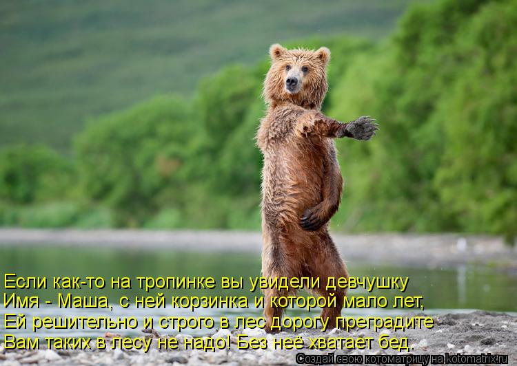 Ей решительно и строго в лес дорогу преградите Вам таких в лесу не надо! Без неё хватает бед… Если ка... Котоматрица: Ей решительно и строго в лес дорогу преградите Вам таких в лесу не надо! Без неё хватает бед… Если как-то на тропинке вы увидели девчушку Им