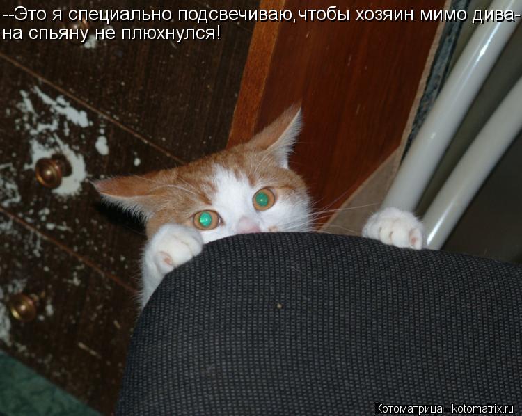 Котоматрица: --Это я специально подсвечиваю,чтобы хозяин мимо дива- на спьяну не плюхнулся!