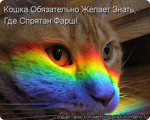 Котоматрица: Кошка Обязательно Желает Знать, Где Спрятан Фарш!