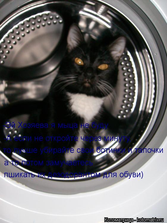 Котоматрица: -Эй Хозяева я мыца не буду  -А если не откройте через минуту, то лучше убирайте свои ботинки и тапочки а то потом замучаетесь пшикать их дезод