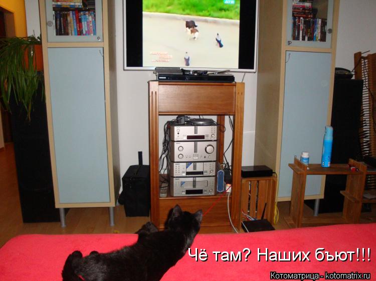 Котоматрица: Чё там? Наших бъют!!!