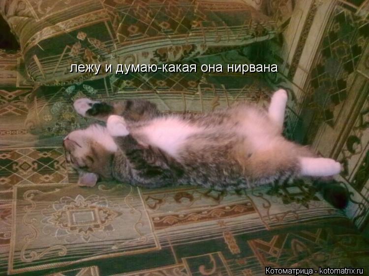 Котоматрица: лежу и думаю-какая она нирвана