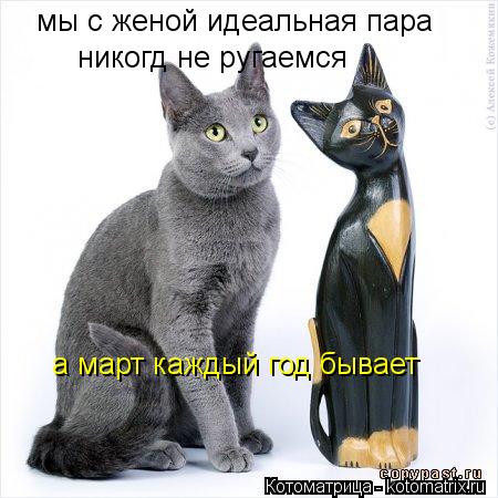 Котоматрица: мы с женой идеальная пара никогд не ругаемся а март каждый год бывает
