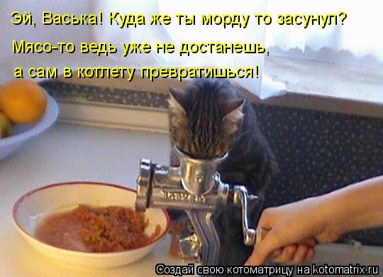 Котоматрица: Эй, Васька! Куда же ты морду то засунул? Мясо-то ведь уже не достанешь, а сам в котлету превратишься!