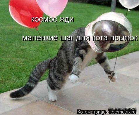 Котоматрица: космос жди маленкиё шаг для кота прыжок для котов