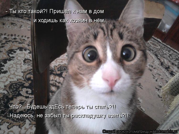 Котоматрица: - Ты кто такой?! Пришёл к нам в дом и ходишь как хозяин в нём... Что?.. Будешь здЕсь теперь ты спать?!! Надеюсь, не забыл ты раскладушку взять?!!