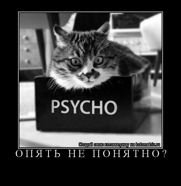 Котоматрица: ОПЯТЬ НЕ ПОНЯТНО? 