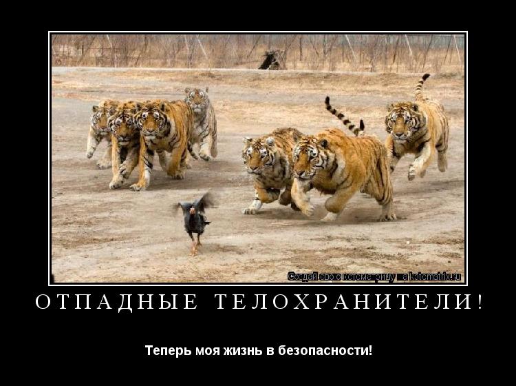 Котоматрица: Отпадные телохранители! Теперь моя жизнь в безопасности!
