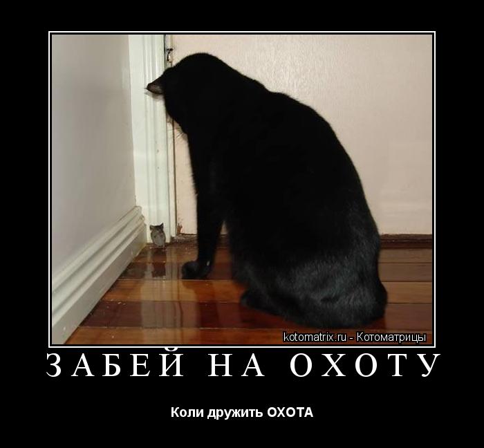 Котоматрица: забей на охоту Коли дружить ОХОТА